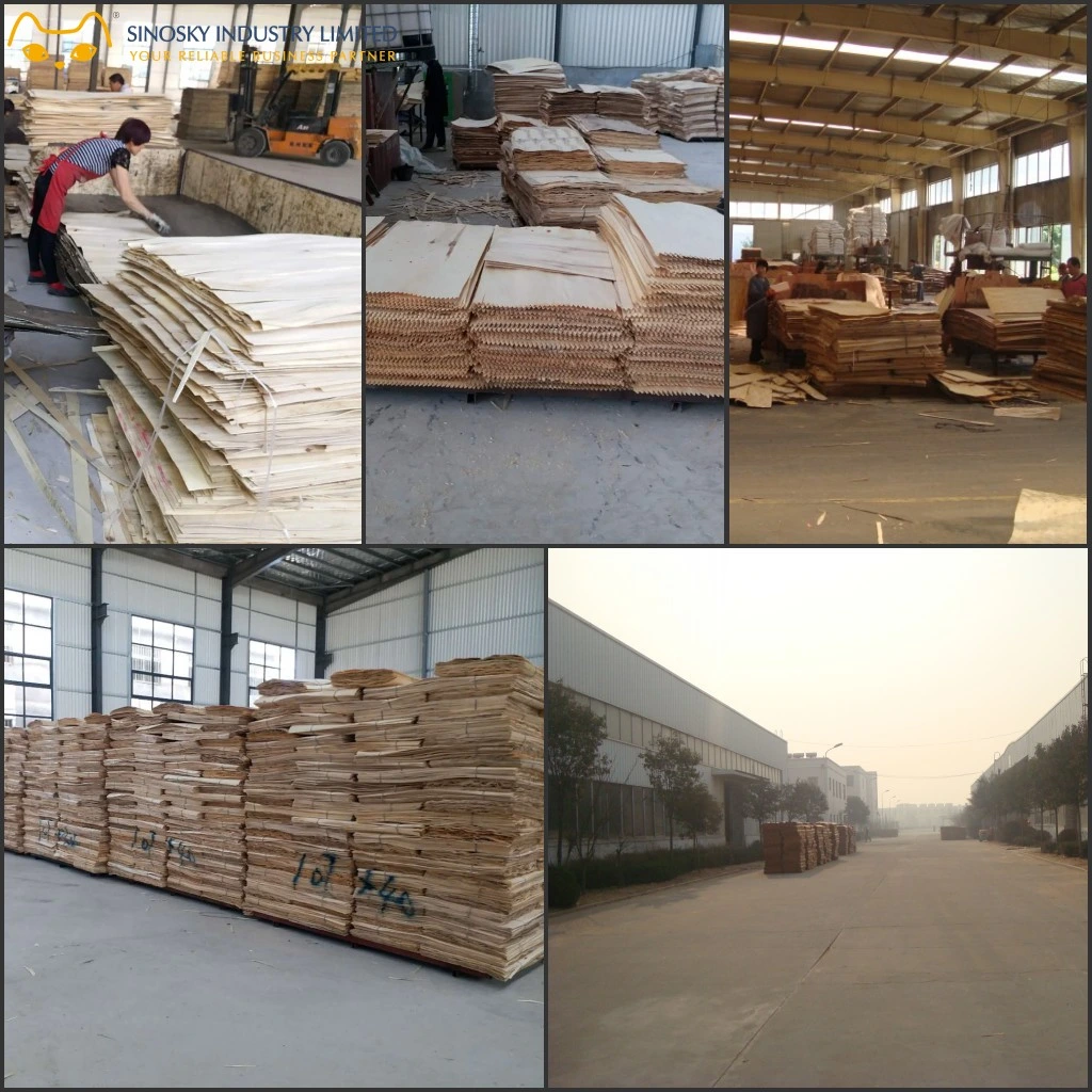 HPL Laminated Plywood with 17mm Two Sides White Color