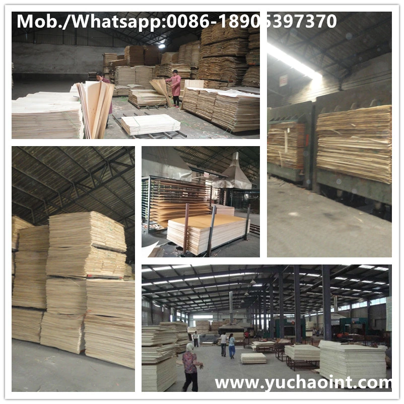 Carb P2 Okoume Plywood for Furniture