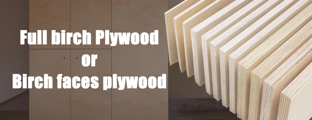 Factory 1220*2440mm Birch Plywood Cheap Birch Commercial Plywood for Furniture